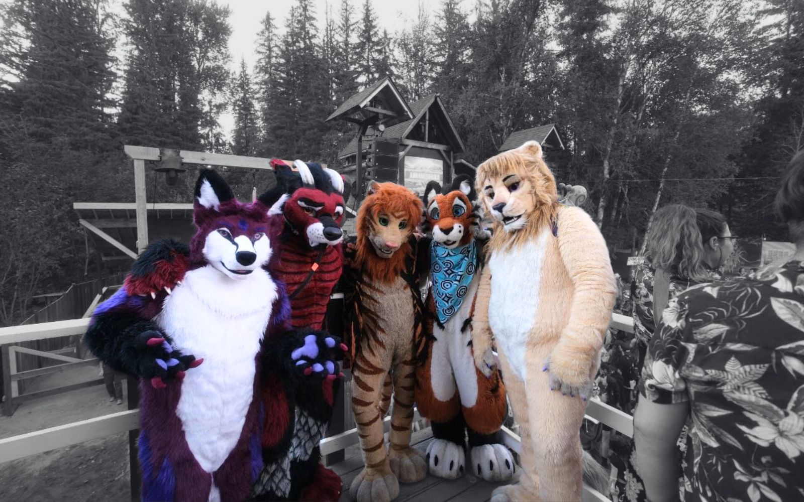 The Weirdest Things We Saw At Shambhala 2024 Range