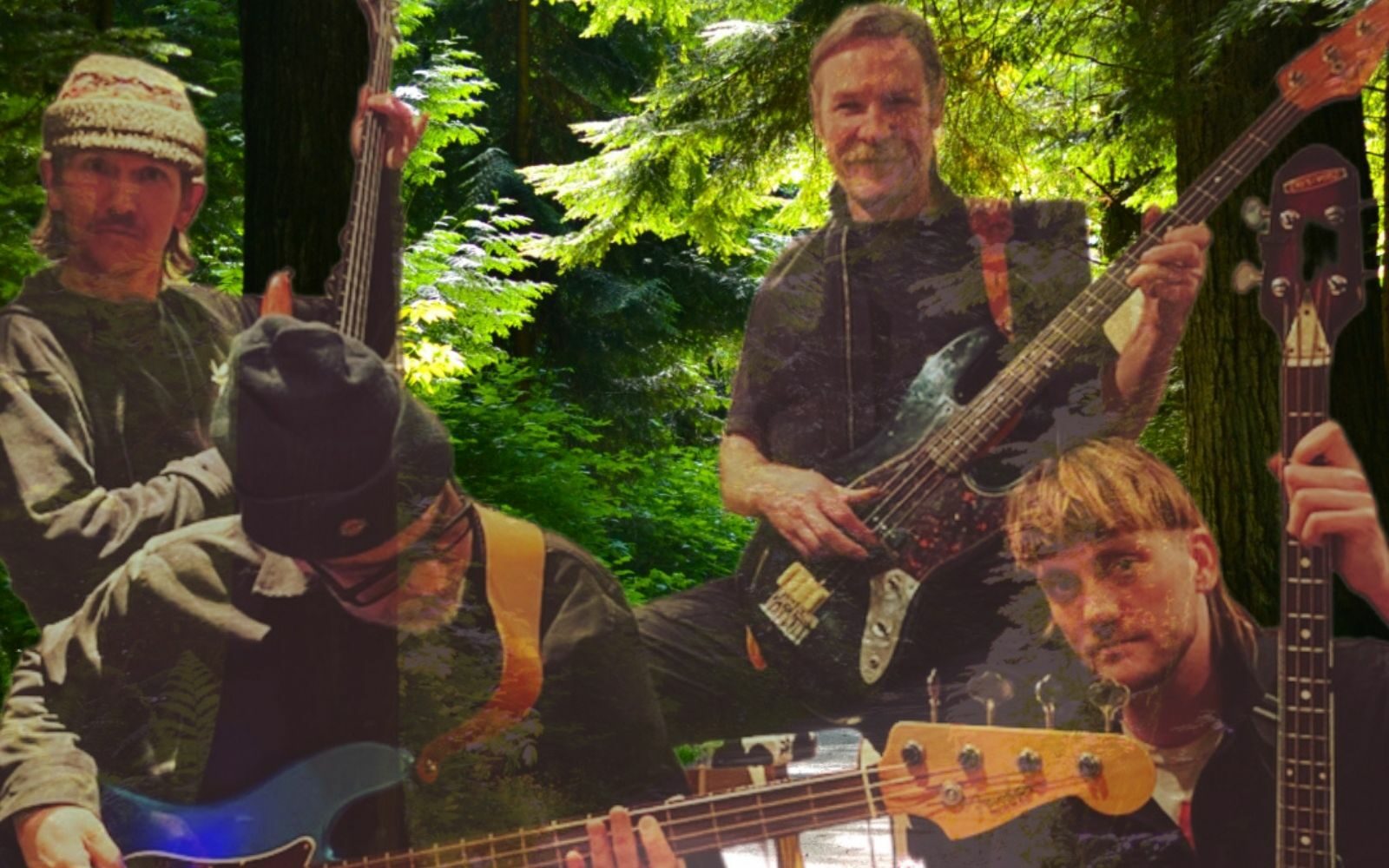 "Whom doesn't love a good hike on trail 8 in Stanleys Park?" - Pierce Kingan